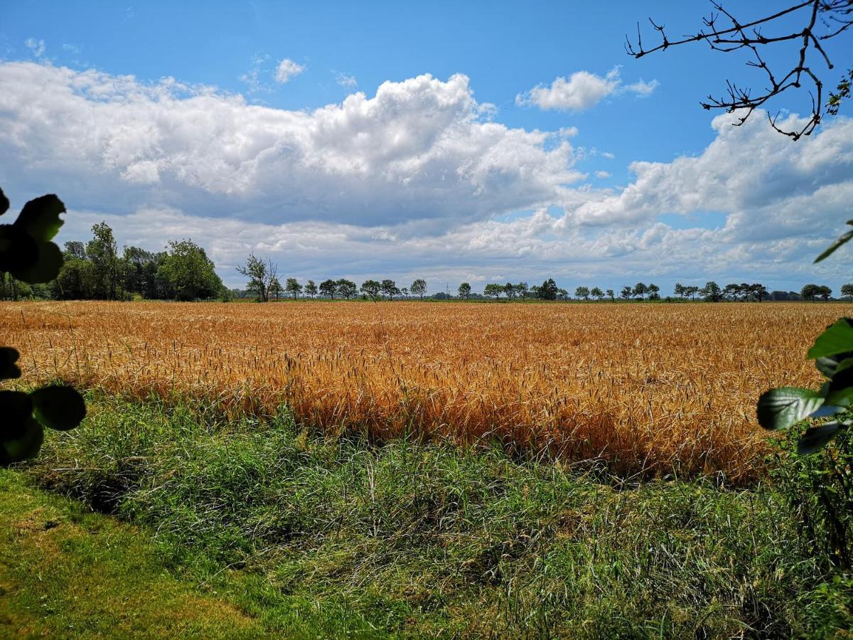 Landhaus Kaisershof - Ferienwohnungen Auf Dem Land Schillig Buitenkant foto